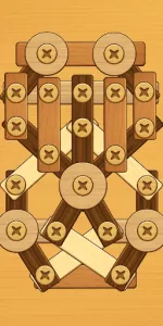 Screw Puzzle app screenshot 14