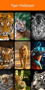 Tiger Wallpaper 2024 app screenshot 8