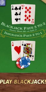 Blackjack app screenshot 13