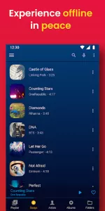 Music Player  app screenshot 4