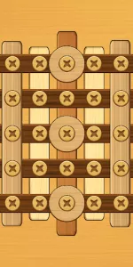 Screw Puzzle app screenshot 20