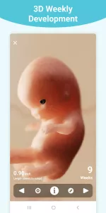 Pregnancy +  app screenshot 11