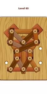 Wood Nuts & Bolts Puzzle app screenshot 22