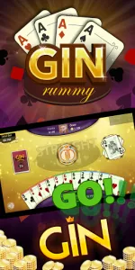 Gin Rummy  app screenshot 17