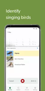 Merlin Bird ID by Cornell Lab app screenshot 4