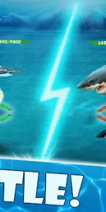 Shark Mania app screenshot 15