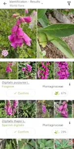 PlantNet Plant Identification app screenshot 2