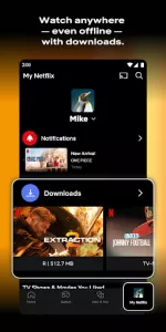 Netflix app screenshot 2