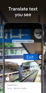 Google Lens app screenshot 3