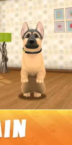 Dog Town app screenshot 19