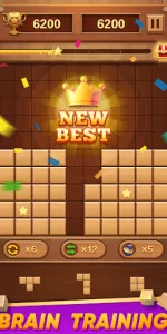 Block Puzzle Wood Blast app screenshot 29