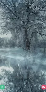 Winter Wallpapers app screenshot 4