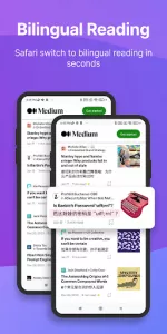 Immersive Translate app screenshot 12