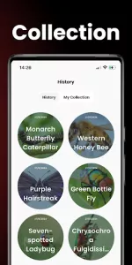 Insect Identifier  app screenshot 4