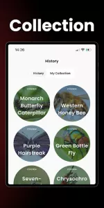 Insect Identifier  app screenshot 8