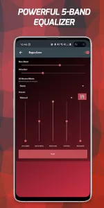 Pi Music Player app screenshot 3