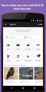 Audubon Bird Guide app screenshot 3