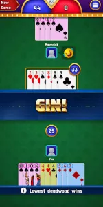 Gin Rummy  app screenshot 14