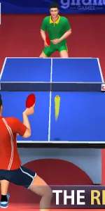 Table Tennis app screenshot 12