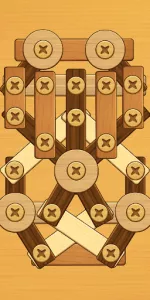 Screw Puzzle app screenshot 22