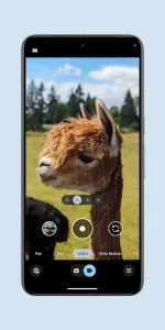 Pixel Camera app screenshot 7