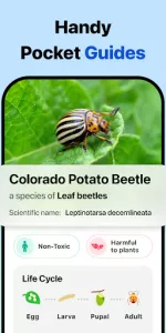 Picture Insect app screenshot 5