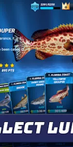 Fishing Clash app screenshot 12