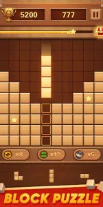 Block Puzzle Wood Blast app screenshot 25