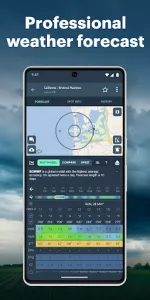 Windy.app  app screenshot 2