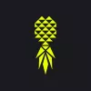 Pineapple Lifestyle app icon