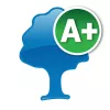 Performance app icon