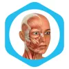 Medical Terminology Learning Q app icon