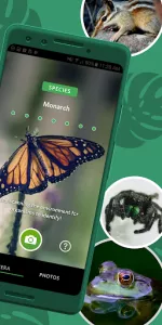 Seek by iNaturalist app screenshot 2