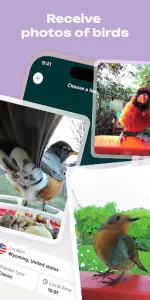 Bird Buddy app screenshot 2
