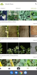 PlantNet Plant Identification app screenshot 7