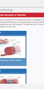 STS Cardiothoracic Surgery app screenshot 9