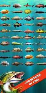 Let's Fish app screenshot 14