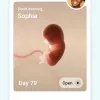 Latest Trends in Lifestyle Featuring Pregnancy + | Tracker App