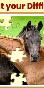 Jigsaw Puzzles app screenshot 20