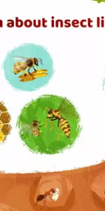 Little Panda's Insect World app screenshot 16