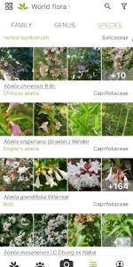 PlantNet Plant Identification app screenshot 3