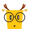 LingoDeer  app icon