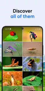 Bug ID app screenshot 2