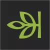 Ancestry app icon