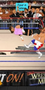 Wrestling Revolution app screenshot 9