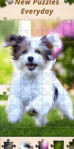 Jigsaw Puzzle Explorer app screenshot 19