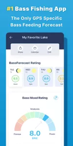 BassForecast app screenshot 16