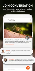 Insect identifier by Photo Cam app screenshot 6