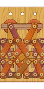 Wood Nuts & Bolts Puzzle app screenshot 16