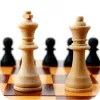 Chess Online  app icon